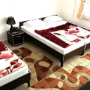 Sarein-Sehat-20.jpg