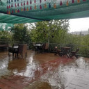 رستوران