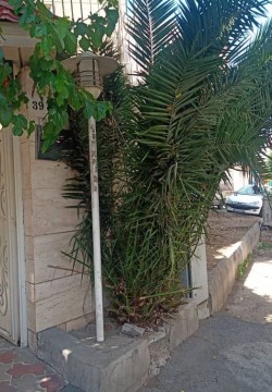 پانسیون پرنیان تهران