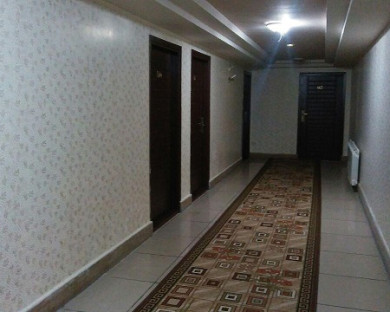 Amol-Niloufar-04.jpg