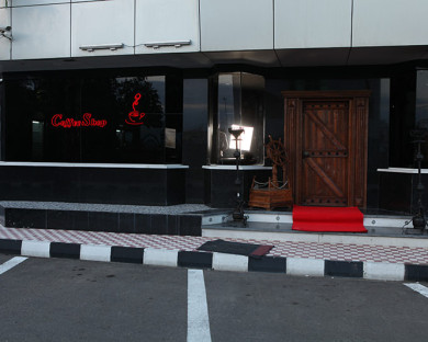 BandarAnzali-Dolphin-13.jpg