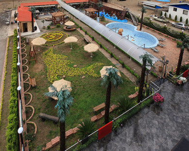 BandarAnzali-Dolphin-14.jpg