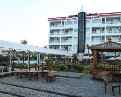 BandarAnzali-Dolphin-15.jpg