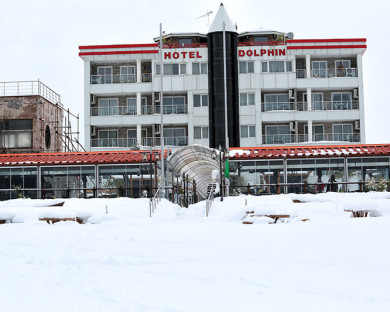 BandarAnzali-Dolphin-16.jpg