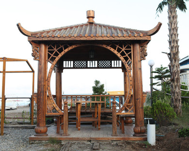 BandarAnzali-Dolphin-21.jpg