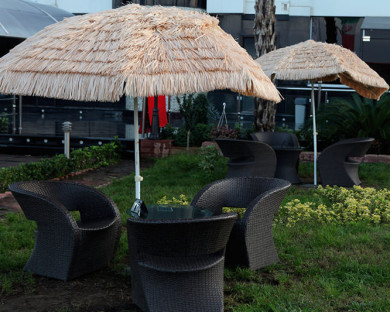 BandarAnzali-Dolphin-25.jpg