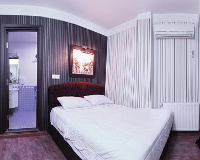 BandarAnzali-Dolphin-26.jpg
