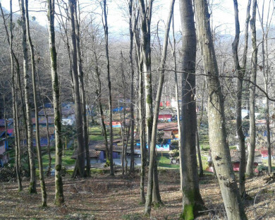 Chalus-JahangardiChaloos-50.jpg