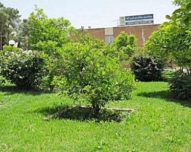 Firouzabad-Jahangardi-06.jpg
