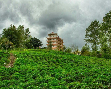 Lahijan-Emperatoorchalak-03.jpg