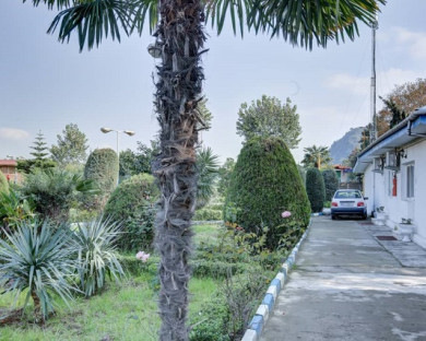 Lahijan-Jahangardi-42.jpg