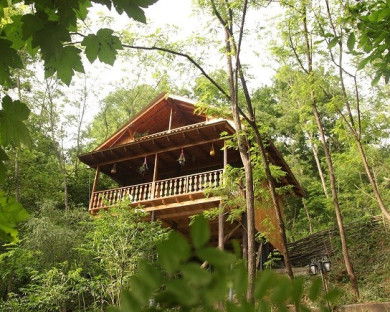 Lahijan-Mazraeyeghooha-29.jpg