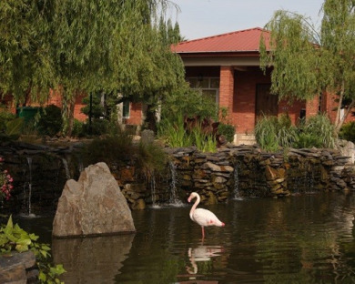 Lahijan-Mazraeyeghooha-30.jpg