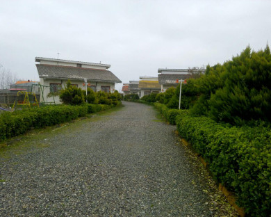 Langarud-Shayan-38.jpg