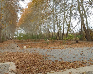 Mehriz-PahlebanpourGarden-16.jpg