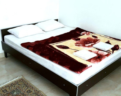 Sarein-Sehat-18.jpg