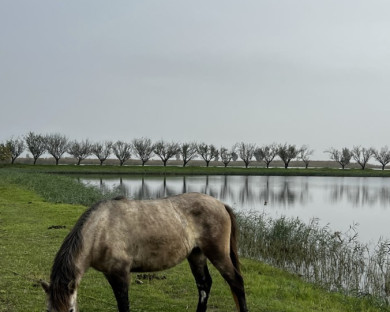behshahr-berkehshomal-5.jpg
