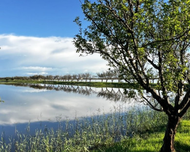 behshahr-berkehshomal-9.jpg