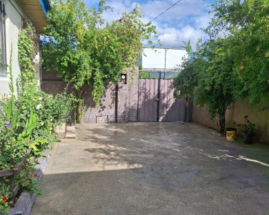 galikash-amoreza-16.jpg