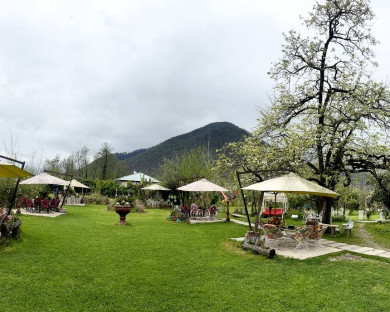 masal-ratines-55.jpg