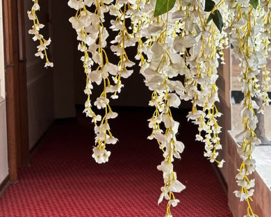 qhom-talaiyeh-4.jpg