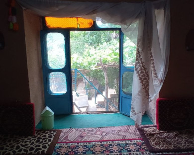 shiraz-shahrostam-15.jpg