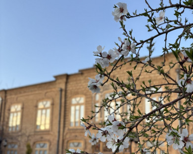 tabriz-sorkhab-33.jpg
