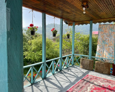 talesh-parvizi-3.jpg
