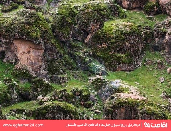 مخمل کوه