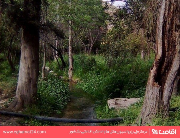 باغ تپه نارنج