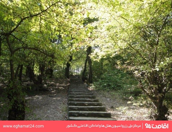 پارک جنگلی  شهید زارع