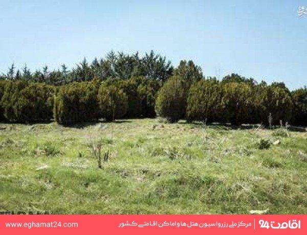 پارک جنگلی یاس
