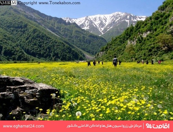 دشت دریاسر